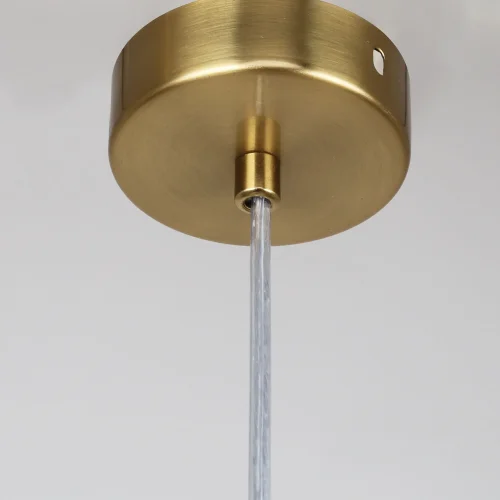 Светильник подвесной Rubum 4203-1P Favourite прозрачный 1 лампа, основание латунь в стиле классический  фото 4