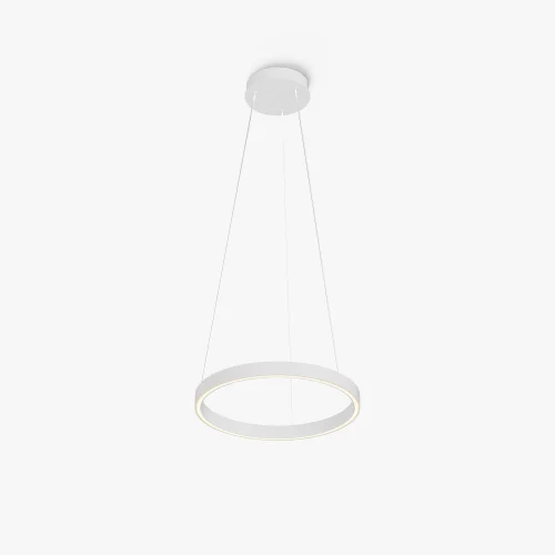 Светильник подвесной LED Rim MOD058PL-L22WK Maytoni белый на 1 лампу, основание белое в стиле современный хай-тек минимализм кольца фото 3