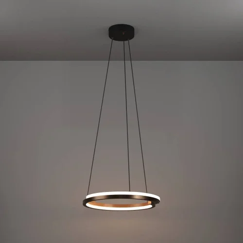 Светильник подвесной LED Mezzomonte 901826 Eglo бронзовый на 1 лампу, основание чёрное в стиле хай-тек современный кольца фото 7