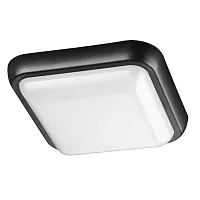 Потолочный светильник уличный LED OPAL 357511 Novotech уличный IP54 чёрный на 1 лампу, плафон белый в стиле современный LED