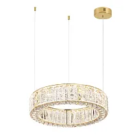 Люстра подвесная LED Version 5071/60L Odeon Light прозрачная на 1 лампа, основание золотое в стиле современный кольца