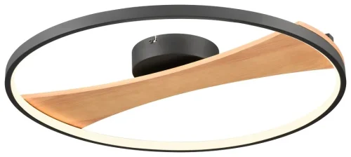 Светильник потолочный LED 450-067-01 Velante чёрный коричневый 1 лампа, основание чёрное в стиле хай-тек современный 