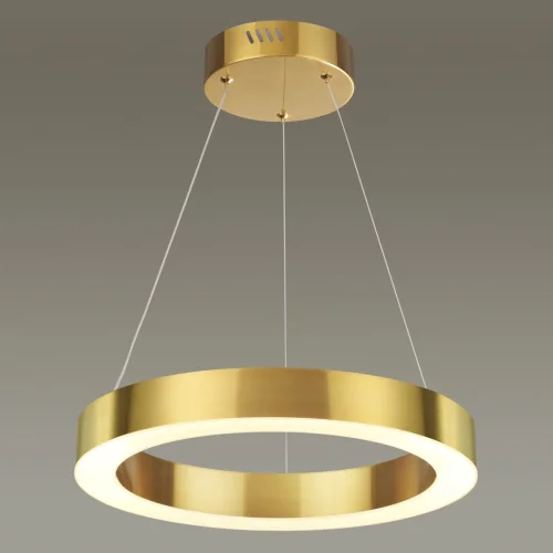 Светильник подвесной LED Brizzi 3885/25LG Odeon Light золотой 1 лампа, основание золотое в стиле хай-тек современный кольца фото 4