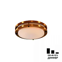 Светильник потолочный LED Бостон CL709203N Citilux белый 1 лампа, основание бронзовое в стиле современный 