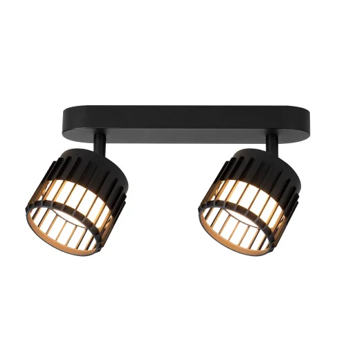 Спот с 2 лампами Atria A8031PL-2BK Arte Lamp чёрный GX53 в стиле современный 
