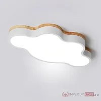 Светильник потолочный CLOUD ECO D50 White 189500-26 ImperiumLoft белый на 1 лампу, основание белое в стиле скандинавский 