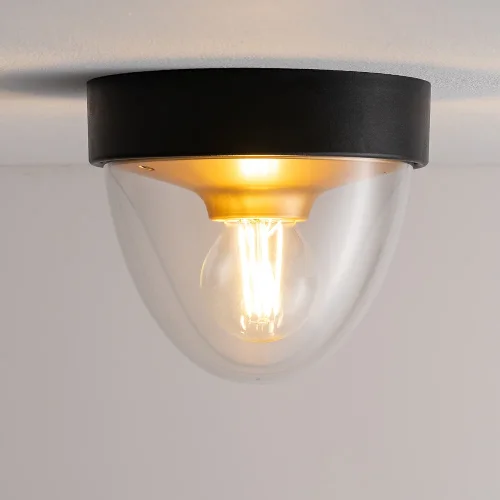 Светильник потолочный Nook 7976-NW Nowodvorski прозрачный на 1 лампу, основание чёрное в стиле современный фото 2