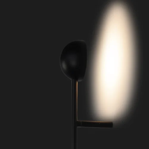 Бра LED Linio 10047 LOFT IT чёрный на 2 лампы, основание чёрное в стиле современный  фото 6