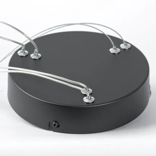 Люстра подвесная LED Hardin LSP-7428 Lussole прозрачная на 1 лампу, основание коричневое в стиле современный хай-тек минимализм кольца фото 6