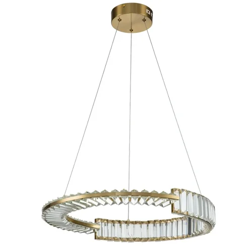 Светильник подвесной LED Frizzante V000041L Indigo прозрачный на 1 лампу, основание бронзовое в стиле хай-тек современный кольца фото 2