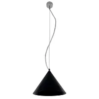 Светильник подвесной Robin LH032059 LightHall чёрный на 1 лампу, основание хром в стиле современный Светильник подвесной Robin LH032059 LightHall чёрный на 1 лампу, основание хром в стиле современный