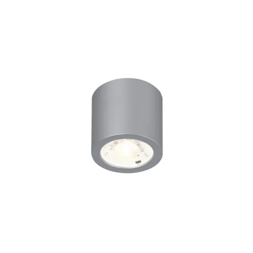 Светильник накладной LED Deorsum 2808-1C Favourite серебряный 1 лампа, основание серебряное в стиле хай-тек современный круглый