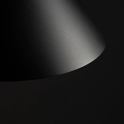 Светильник подвесной Zenith L 8005-NW Nowodvorski чёрный на 1 лампу, основание чёрное в стиле лофт фото 5