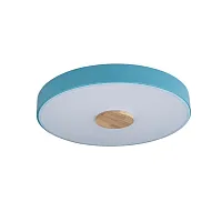 Светильник потолочный LED Axel 10003/24 Blue LOFT IT белый 1 лампа, основание голубое в стиле современный тарелка