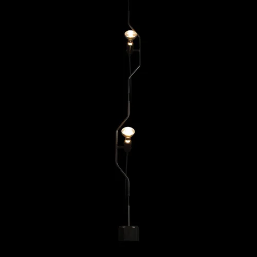 Светильник подвесной Parentesi 10346-2 Black LOFT IT без плафона 2 лампы, основание чёрное в стиле современный на растяжку фото 4