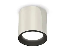 Светильник накладной Techno spot XS6305002 Ambrella light серебряный 1 лампа, основание серебряное в стиле современный круглый