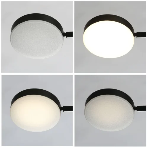Люстра подвесная LED Гэлэкси 632017206 DeMarkt белая на 1 лампа, основание чёрное в стиле хай-тек  фото 4