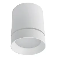 Светильник накладной LED Elle A1949PL-1WH Arte Lamp белый 1 лампа, основание белое в стиле модерн круглый
