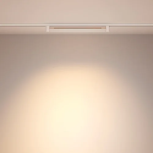 Трековый светильник LED Single phase track system Unity TR010-1-20W3K-M-W Maytoni белый для шинопроводов серии Single phase track system Unity белый фото 12