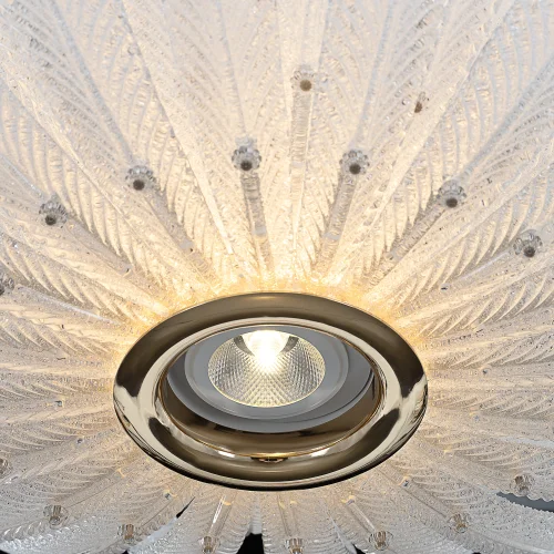 Люстра подвесная LED Deltoro CL327170 Citilux прозрачная на 1 лампу, основание золотое в стиле современный флористика арт-деко фото 3