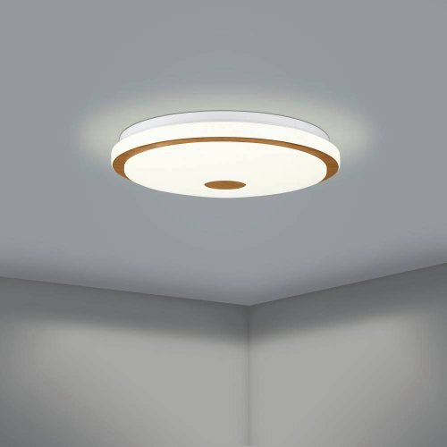 Светильник потолочный LED Lanciano 1 900599 Eglo белый 1 лампа, основание белое в стиле современный  фото 4