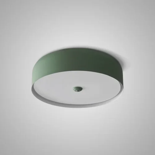 Светильник потолочный CYLINDER B Green 178353-26 ImperiumLoft зелёный на 1 лампу, основание зелёное в стиле современный скандинавский 