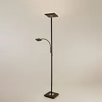 Торшер LED с dimm Харди CL802015 Citilux для чтения коричневый 1 лампа, основание коричневое в стиле современный
