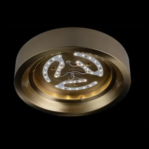 Светильник потолочный LED Button 10007/18 Copper LOFT IT белый 1 лампа, основание медь в стиле современный  фото 2