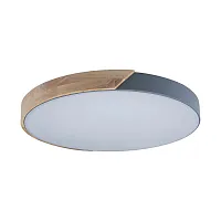 Светильник потолочный LED Axel 10004/36 Grey LOFT IT белый 1 лампа, основание серое бежевое в стиле современный тарелка