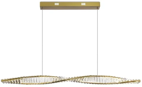 Светильник подвесной LED Olimp APL.045.06.20 Aployt прозрачный на 1 лампу, основание золотое в стиле современный 