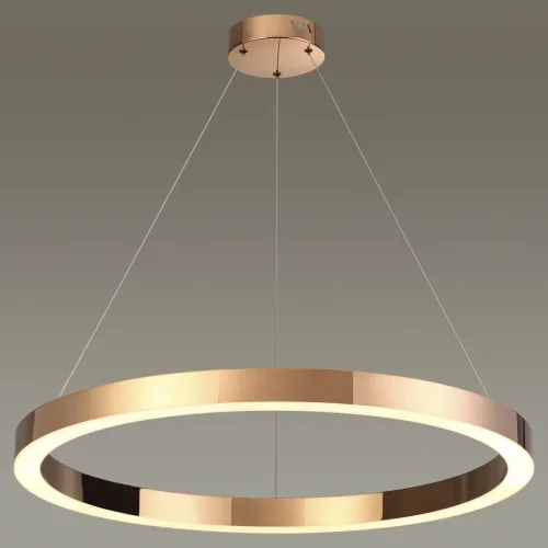 Светильник подвесной LED Brizzi 3885/45LA Odeon Light бронзовый 1 лампа, основание бронзовое в стиле хай-тек современный кольца фото 4