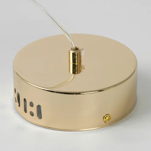 Светильник подвесной LED Duval LSP-7142 Lussole прозрачный 1 лампа, основание золотое в стиле хай-тек современный  фото 4