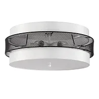 Светильник потолочный Animaisa 8002/6C Lumion чёрный белый на 5 ламп, основание белое в стиле современный 