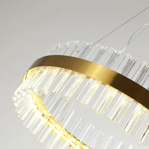 Люстра подвесная LED Placerat 4012-5P Favourite прозрачная на 1 лампа, основание золотое в стиле современный  фото 5