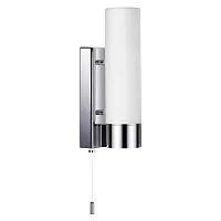 Светильник настенный для ванной TINGI 2660/1W Odeon Light белый 1 лампа, основание хром в стиле современный 