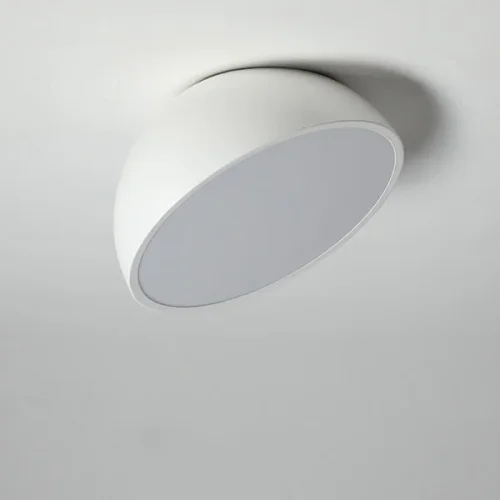 Светильник потолочный SELDEN D20 White 208111-23 ImperiumLoft белый 1 лампа, основание белое в стиле современный  фото 20