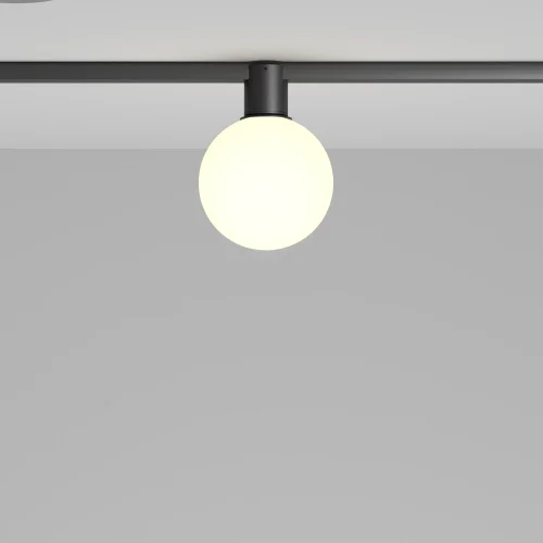 Трековый светильник LED Magnetic track system Elasity TR171-1-5W3K-WB Maytoni белый для шинопроводов серии Magnetic track system Elasity чёрный фото 4