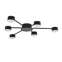 Светильник потолочный Torina 8344/6C Lumion чёрный на 6 ламп, основание чёрное в стиле минимализм 