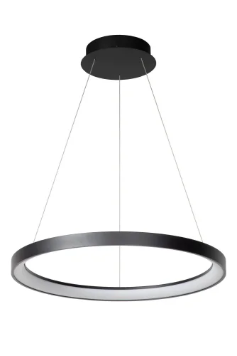 Светильник подвесной LED Vidal 46403/48/30 Lucide белый на 1 лампу, основание чёрное в стиле современный кольца фото 2