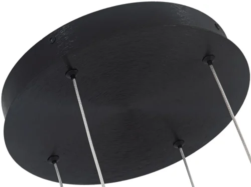 Светильник подвесной LED с пультом Ring 4006/02/04PL Stilfort чёрный 1 лампа, основание чёрное в стиле современный хай-тек с пультом кольца фото 4