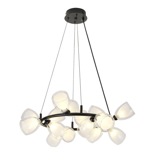 Люстра подвесная Inglewood LSP-6063 Lussole белая на 16 ламп, основание чёрное в стиле современный 