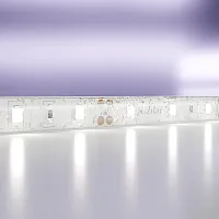 Светодиодная лента 12В 20006 Maytoni цвет LED холодный белый 6000K, световой поток Lm