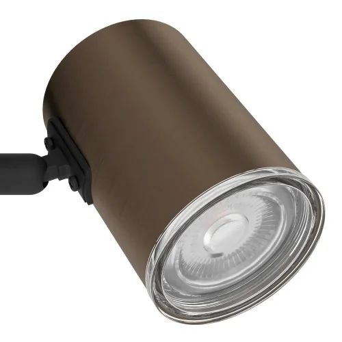 Бра Consuma 300587 Eglo бронзовый на 1 лампу, основание чёрное в стиле современный фото 4