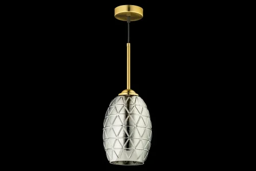 Светильник подвесной Dazio E 1.P1 CS Arti Lampadari серый чёрный серебряный 1 лампа, основание золотое в стиле современный  фото 3
