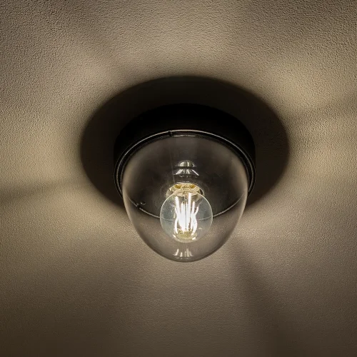 Светильник потолочный Nook 7978-NW Nowodvorski прозрачный на 1 лампу, основание чёрное в стиле современный фото 3 Светильник потолочный Nook 7978-NW Nowodvorski прозрачный на 1 лампу, основание чёрное в стиле современный фото 3