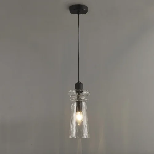 Светильник подвесной Pasti 4966/1A Odeon Light прозрачный 1 лампа, основание чёрное в стиле современный  фото 4