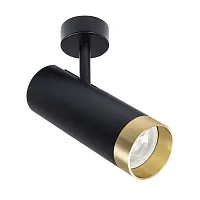 Светильник накладной Topic A2357PL-1BK Arte Lamp чёрный 1 лампа, основание чёрное в стиле модерн круглый