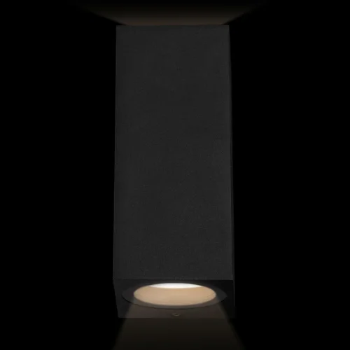Настенный светильник Eterno 100007/B LOFT IT уличный IP54 чёрный 2 лампы, плафон чёрный в стиле современный хай-тек GU10 фото 4