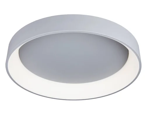 Люстра с пультом LED Ortueri OML-48517-96 Omnilux белая на 1 лампу, основание серое в стиле хай-тек с пультом