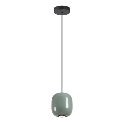 Светильник подвесной Ovali 5053/1C Odeon Light зелёный 1 лампа, основание чёрное в стиле современный шар фото 3